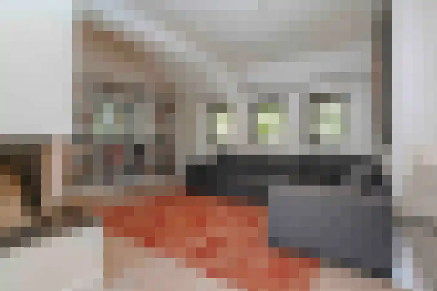 Beekhuizenseweg 75 Velp thumbnail 9