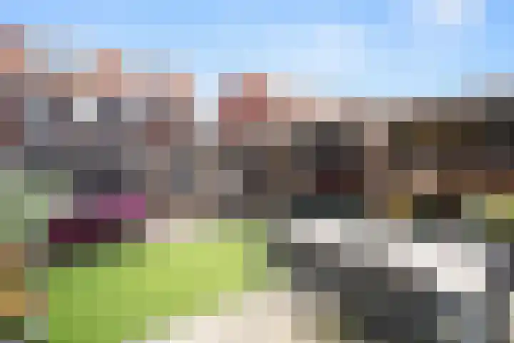 Beekhuizerzand 10 Ede thumbnail 11