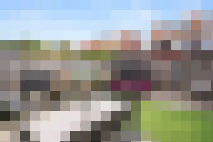Beekhuizerzand 10 Ede thumbnail 12