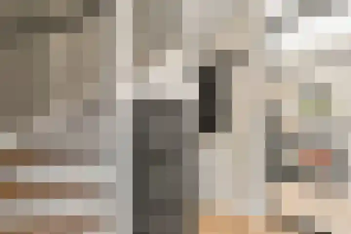 Beekhuizerzand 10 Ede thumbnail 16
