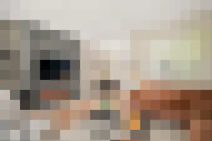 Beekhuizerzand 10 Ede thumbnail 21