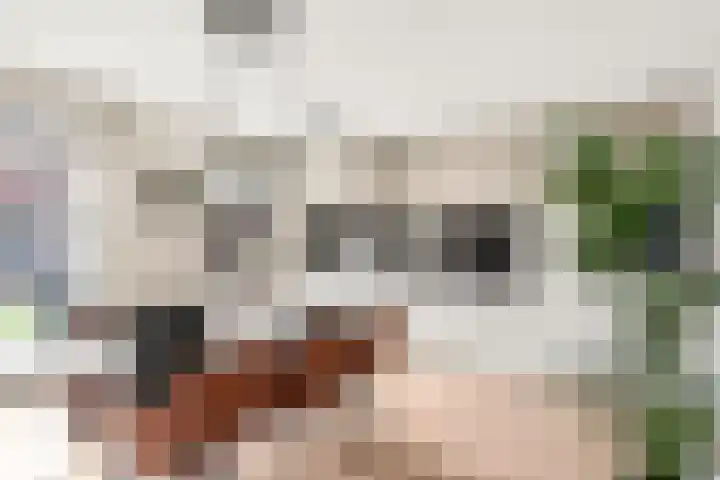 Beekhuizerzand 10 Ede thumbnail 24