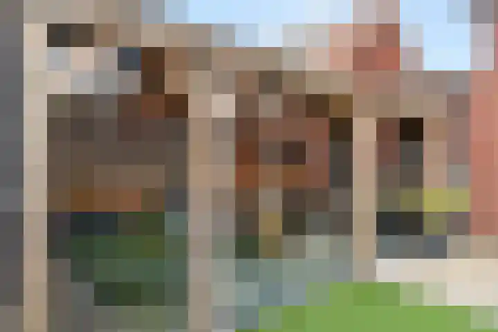 Beekhuizerzand 10 Ede thumbnail 6