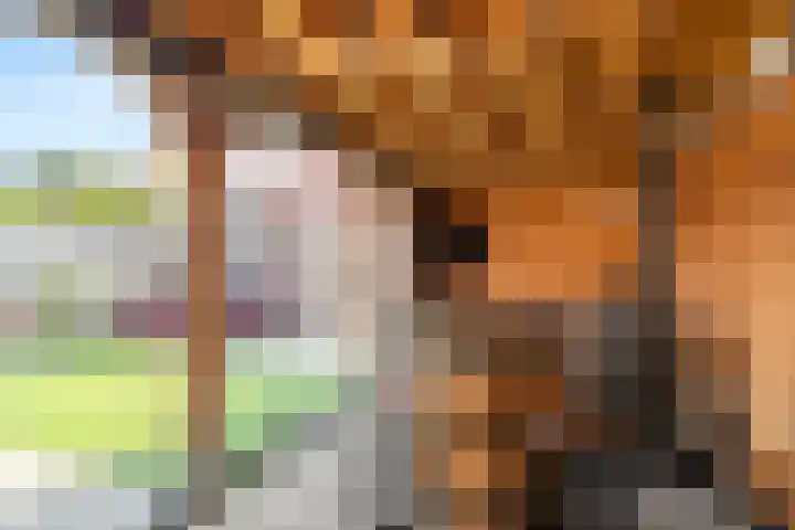 Beekhuizerzand 10 Ede thumbnail 7