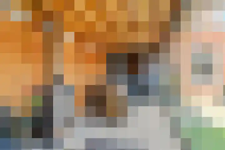 Beekhuizerzand 10 Ede thumbnail 9