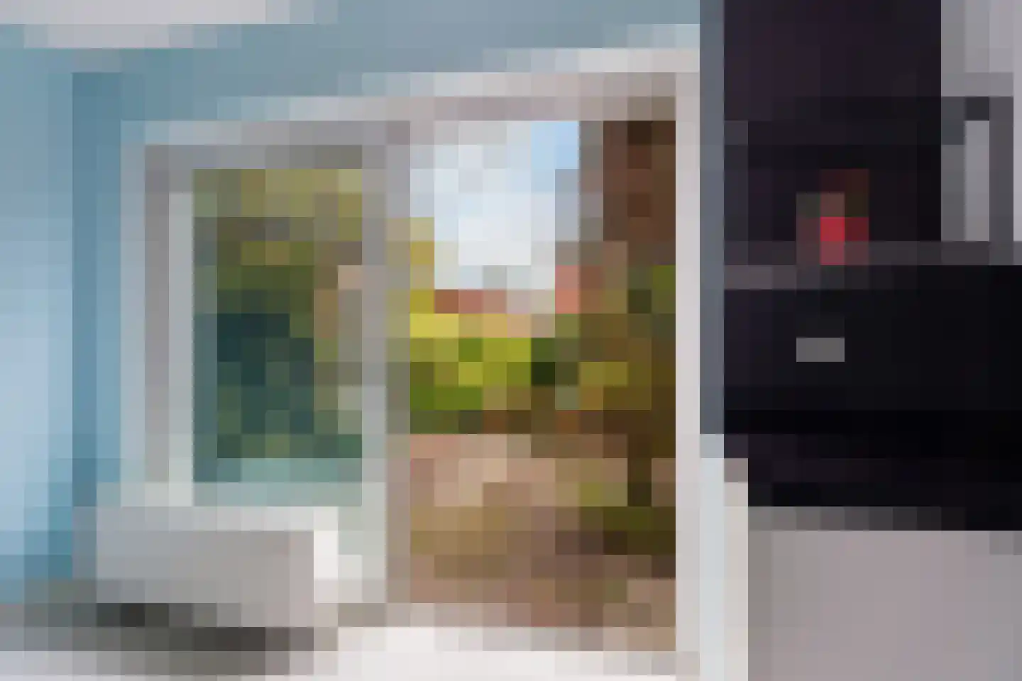 Beekjufferhof 1 Den Haag thumbnail 21