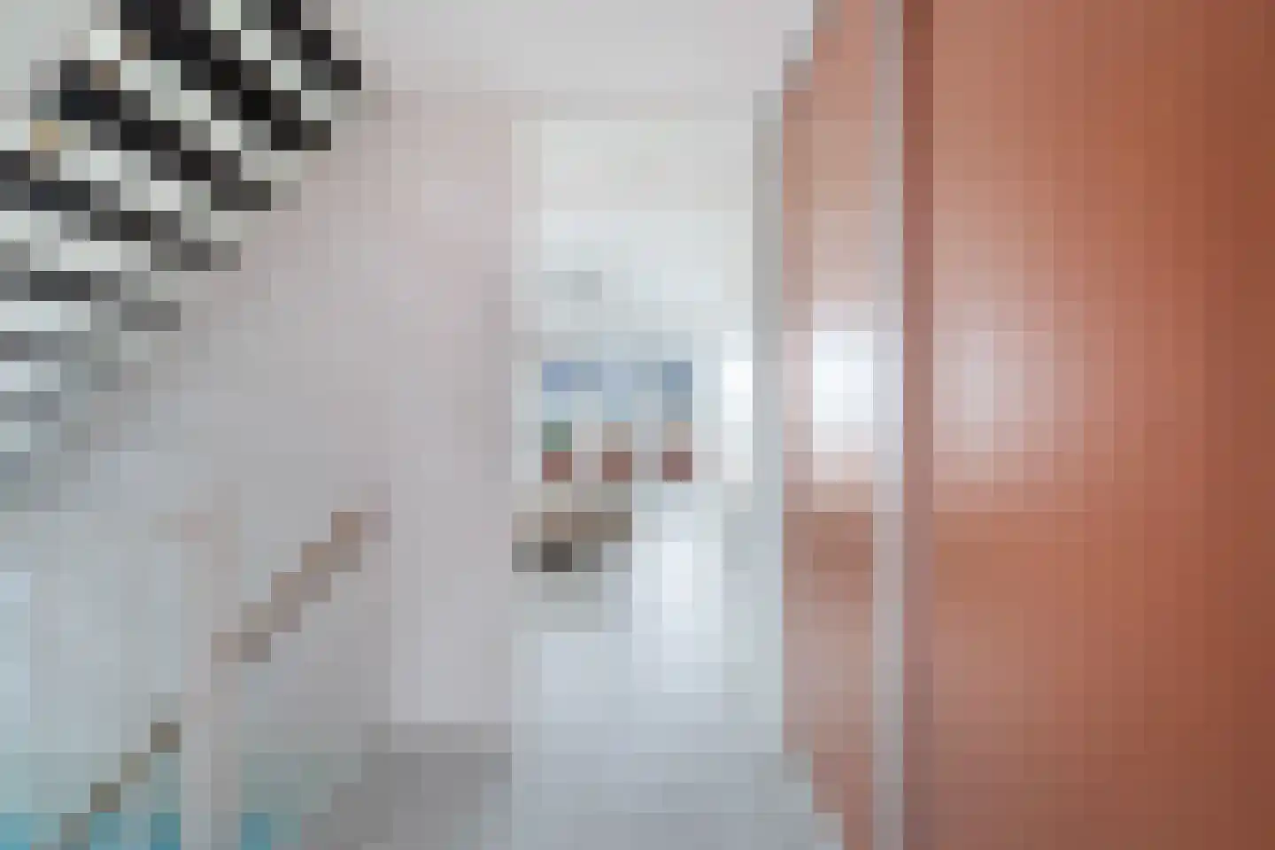 Beekjufferhof 1 Den Haag thumbnail 23