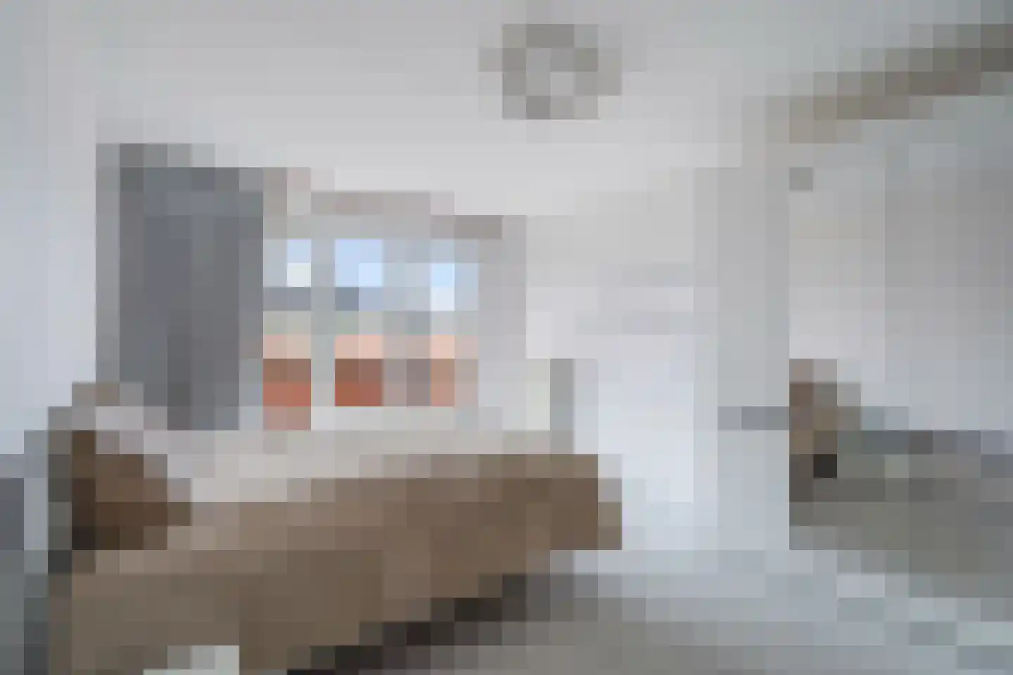 Beekjufferhof 1 Den Haag thumbnail 25
