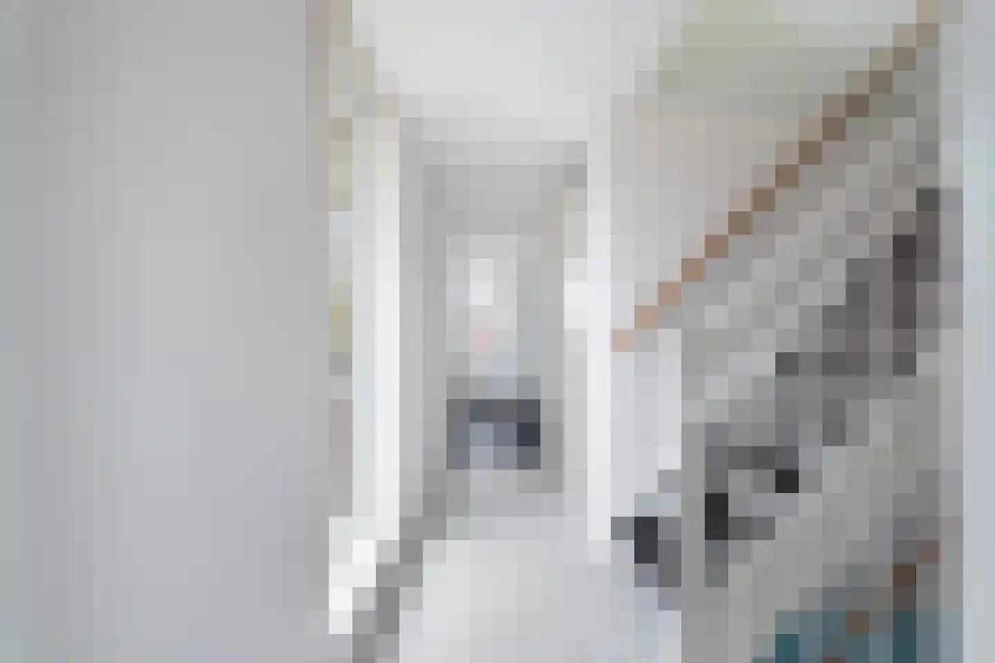 Beekjufferhof 1 Den Haag thumbnail 41