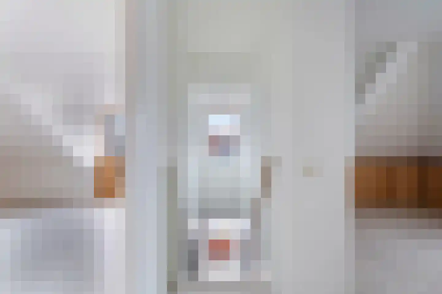 Beekjufferhof 1 Den Haag thumbnail 42