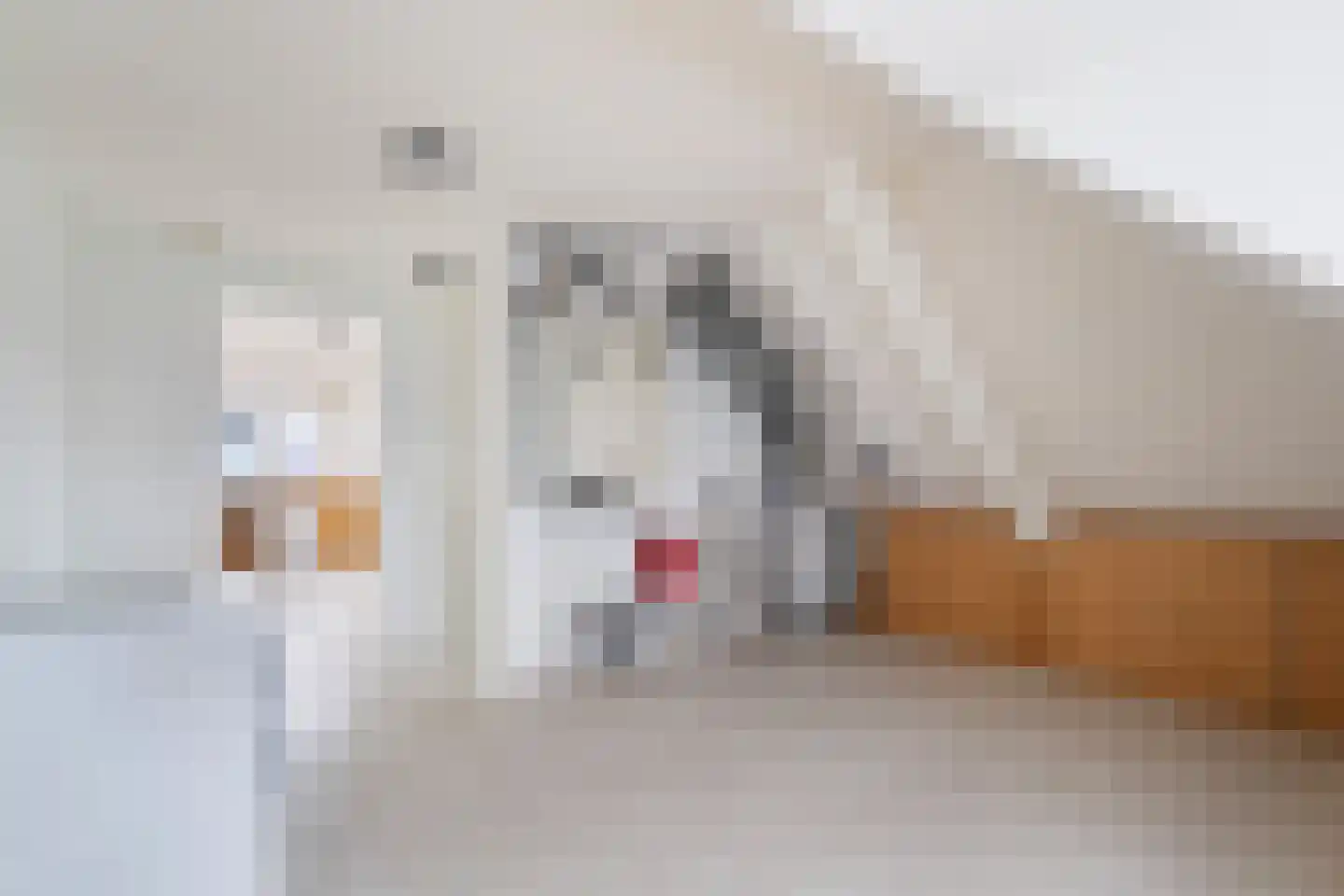 Beekjufferhof 1 Den Haag thumbnail 44