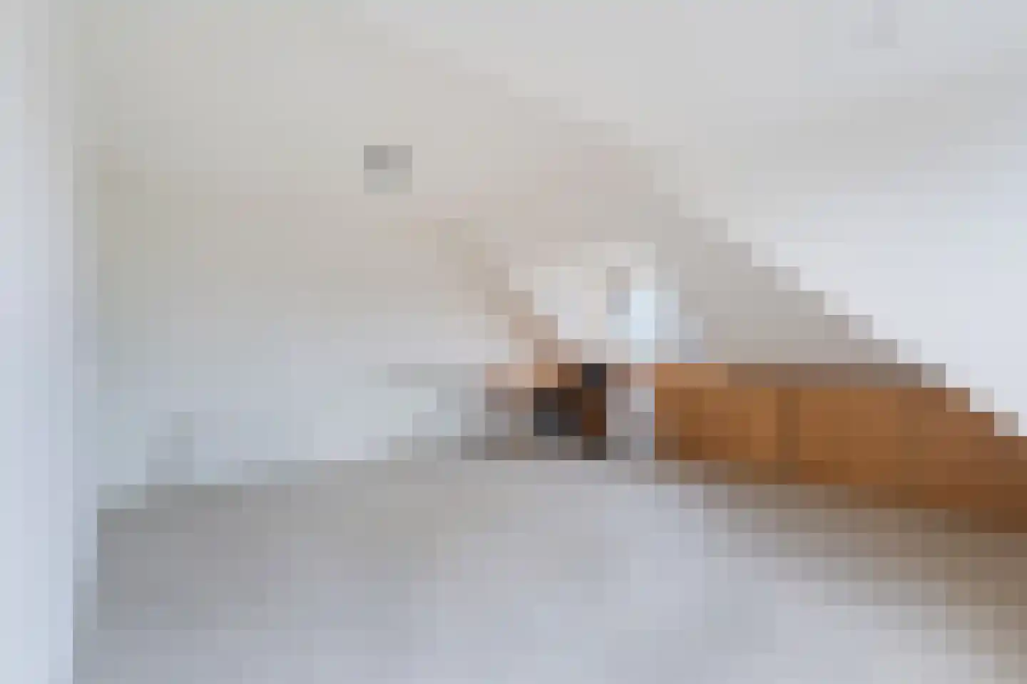 Beekjufferhof 1 Den Haag thumbnail 50