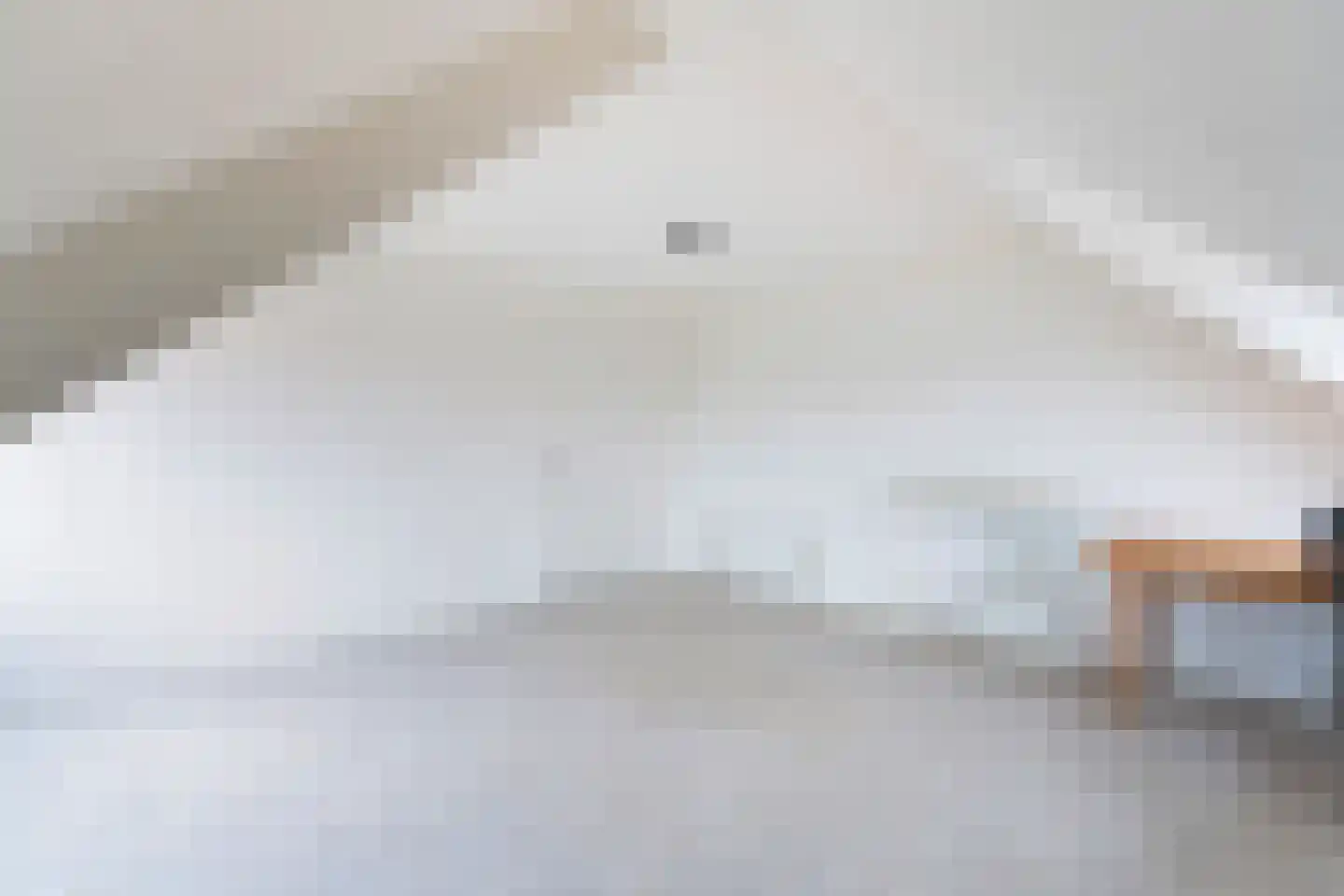 Beekjufferhof 1 Den Haag thumbnail 51