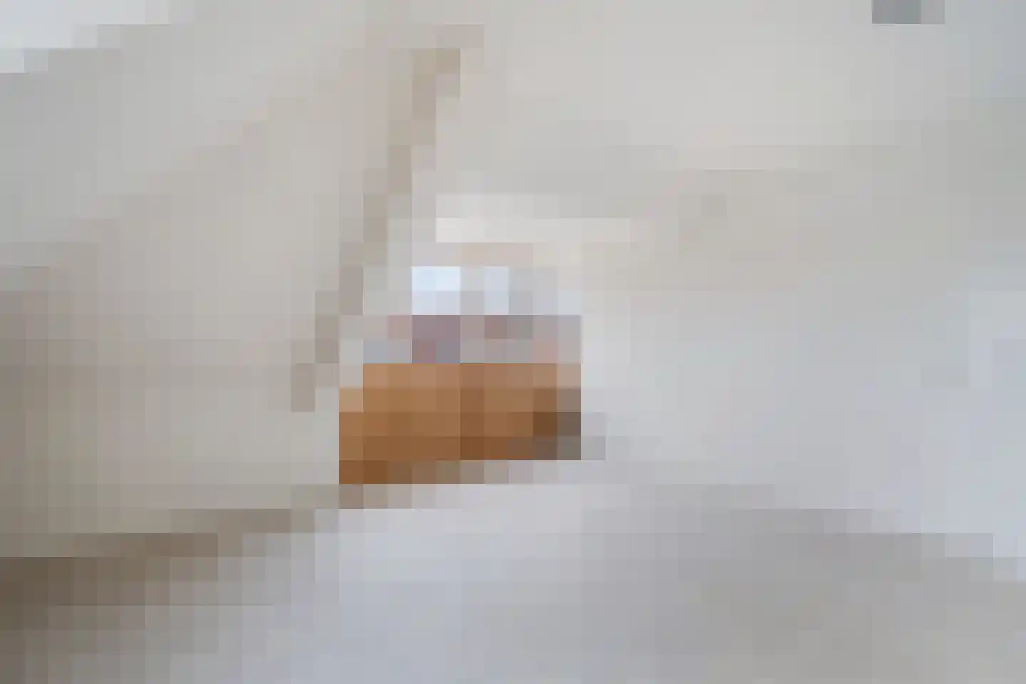 Beekjufferhof 1 Den Haag thumbnail 52