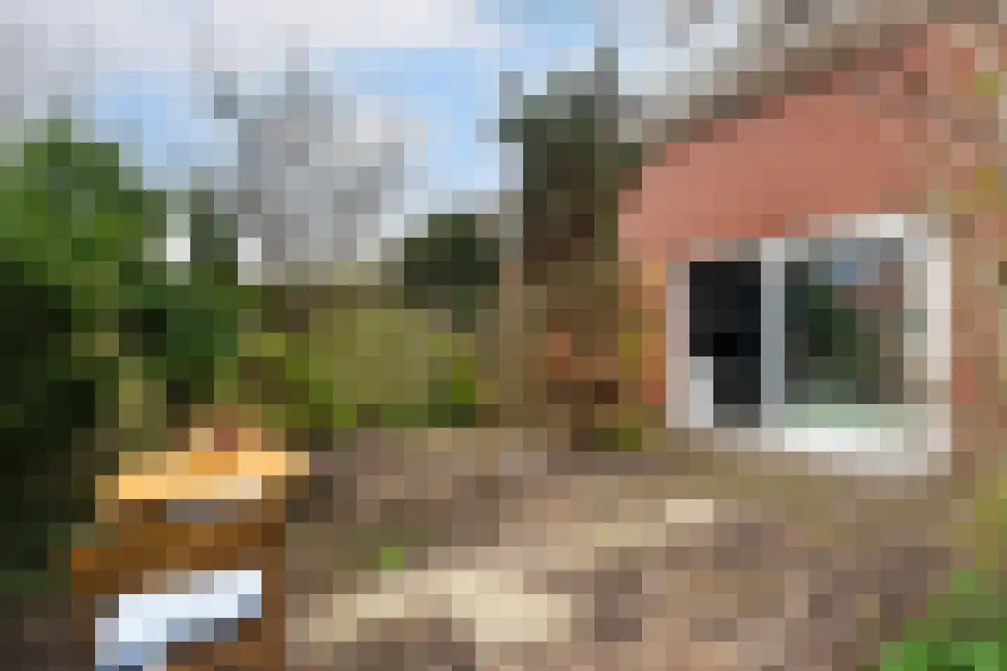 Beekjufferhof 1 Den Haag thumbnail 53