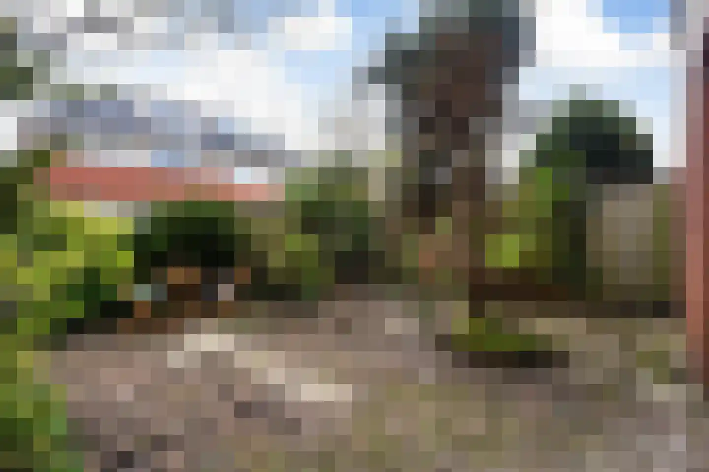 Beekjufferhof 1 Den Haag thumbnail 54
