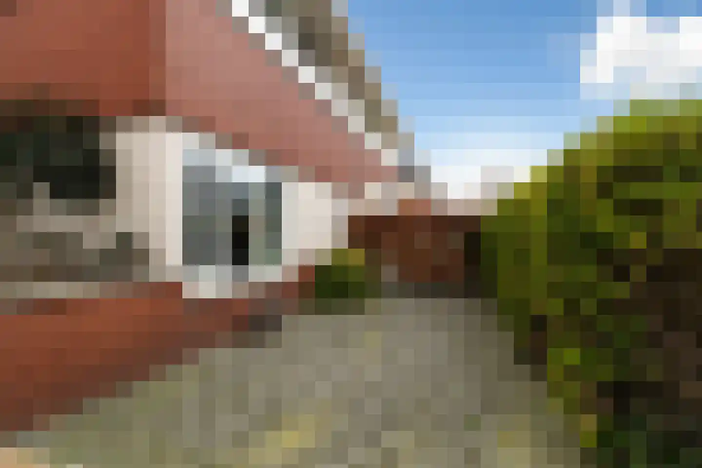 Beekjufferhof 1 Den Haag thumbnail 62
