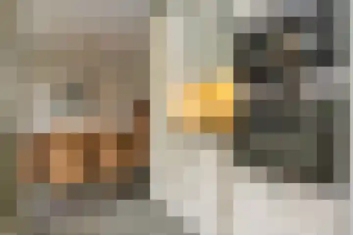 Beeklaan 1 Maarn thumbnail 22