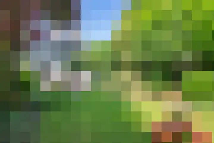Beeklaan 1 Maarn thumbnail 35