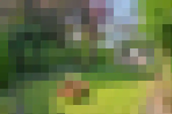Beeklaan 1 Maarn thumbnail 37