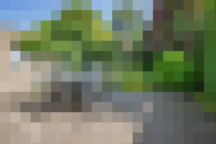 Beeklaan 1 Maarn thumbnail 38