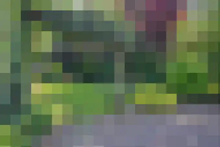Beeklaan 1 Maarn thumbnail 39