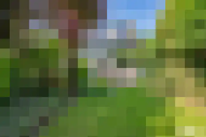 Beeklaan 1 Maarn thumbnail 4