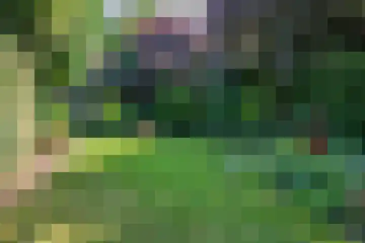 Beeklaan 1 Maarn thumbnail 40