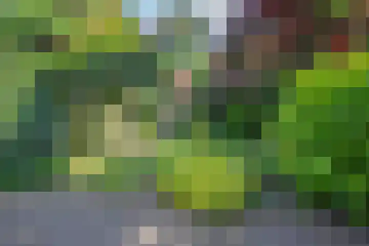 Beeklaan 1 Maarn thumbnail 42