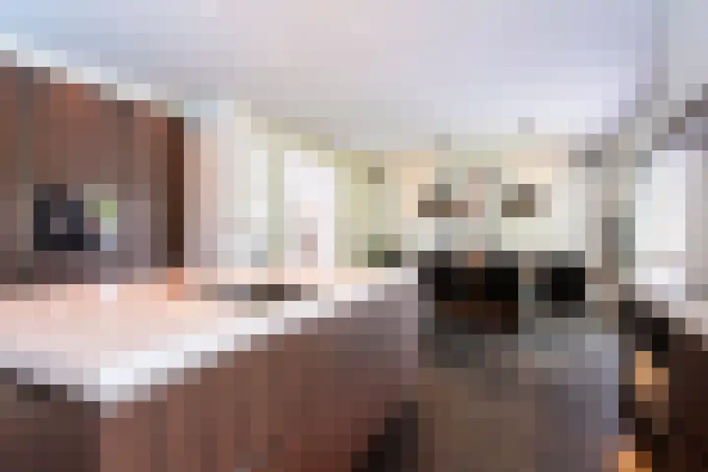 Beeklaan 1 Tilburg thumbnail 13