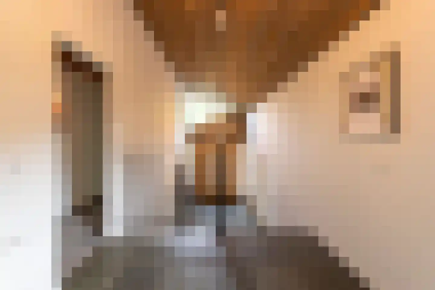 Beeklaan 1 Tilburg thumbnail 15