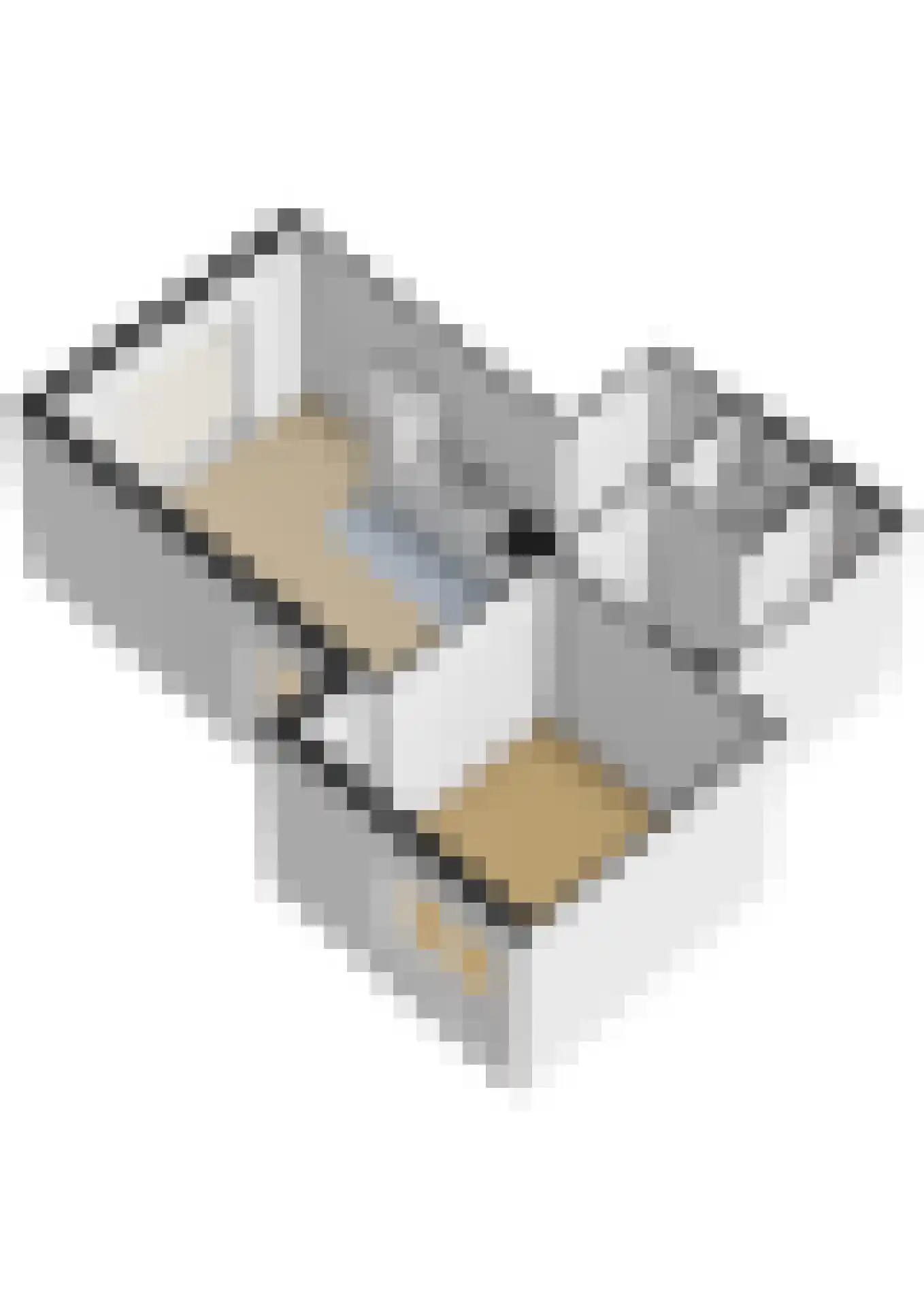 Beeklaan 10 Oldebroek thumbnail 31
