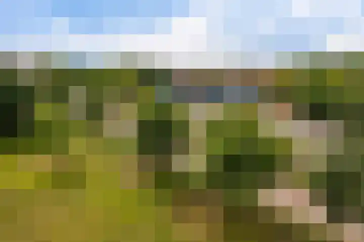 Beeklaan 106 Noordwijk thumbnail 12