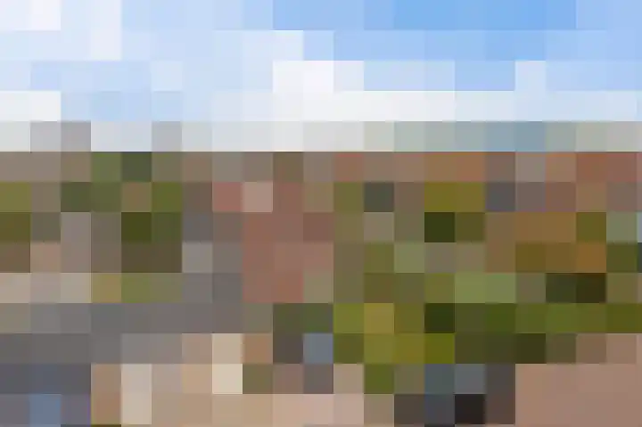 Beeklaan 106 Noordwijk thumbnail 21