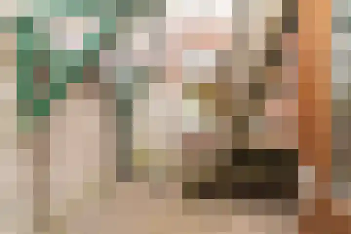 Beeklaan 108 Hillegom thumbnail 18