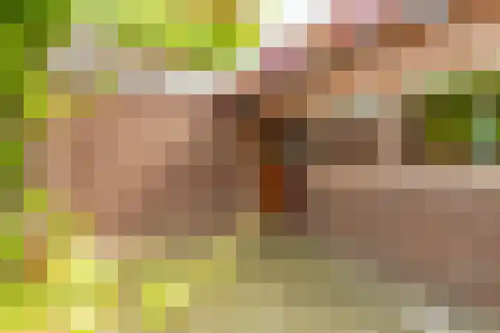 Beeklaan 108 Hillegom thumbnail 35