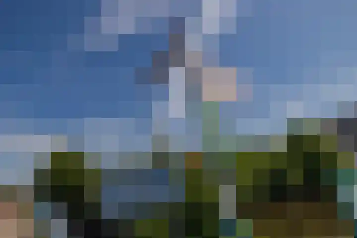 Beeklaan 108 Hillegom thumbnail 38