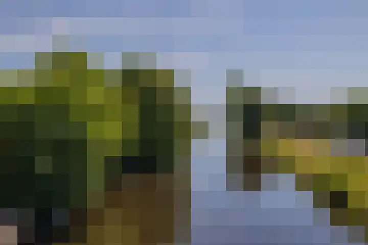 Beeklaan 108 Hillegom thumbnail 39