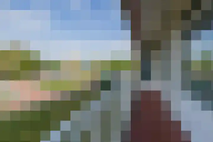 Beeklaan 110 Noordwijk thumbnail 11