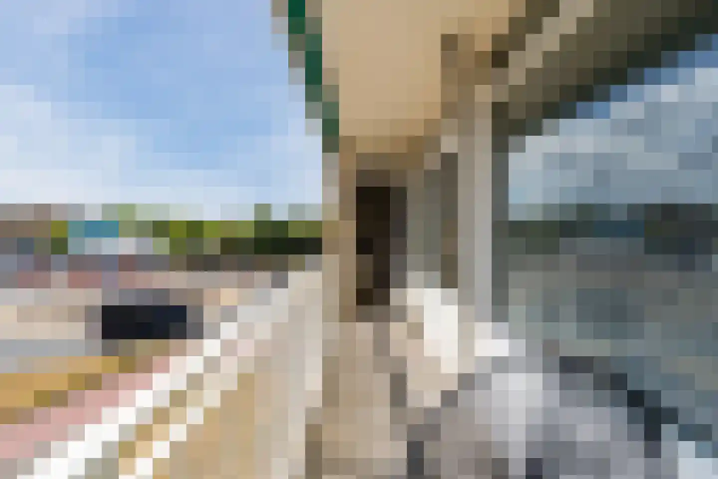 Beeklaan 114 Noordwijk thumbnail 33