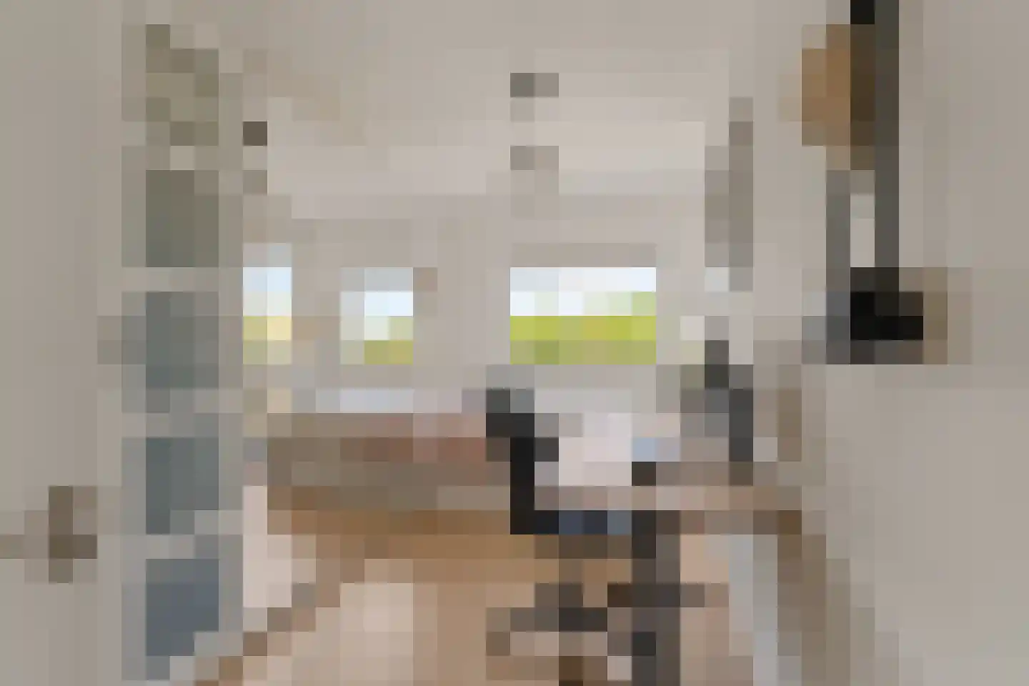 Beeklaan 116 Noordwijk thumbnail 20