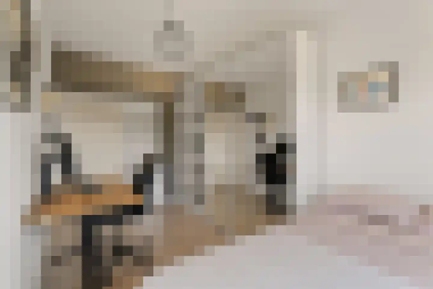 Beeklaan 116 Noordwijk thumbnail 21