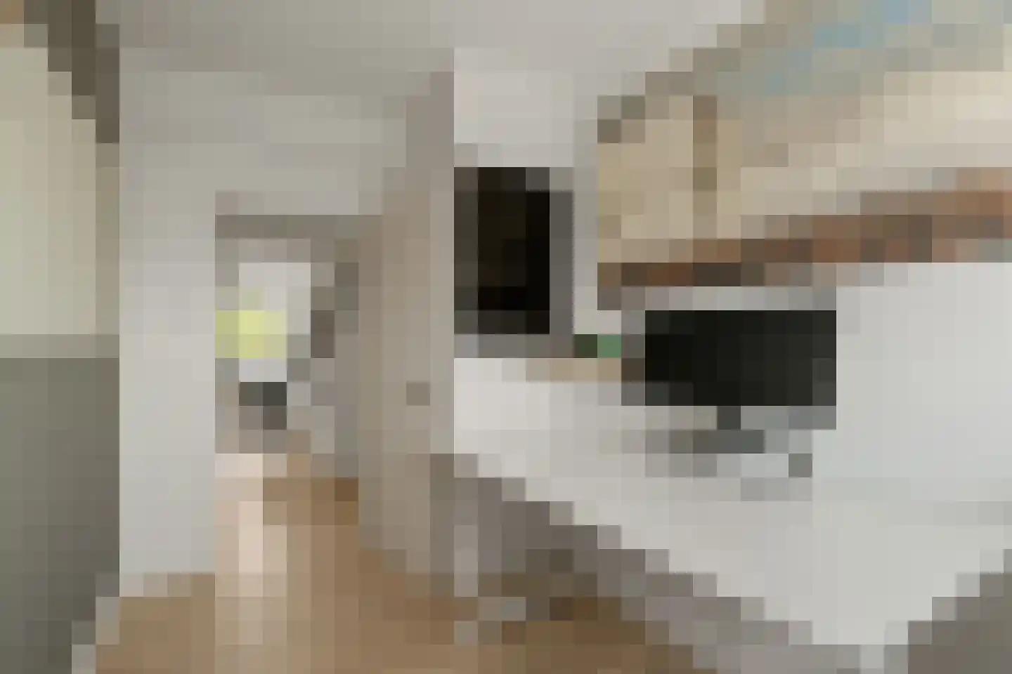 Beeklaan 116 Noordwijk thumbnail 23