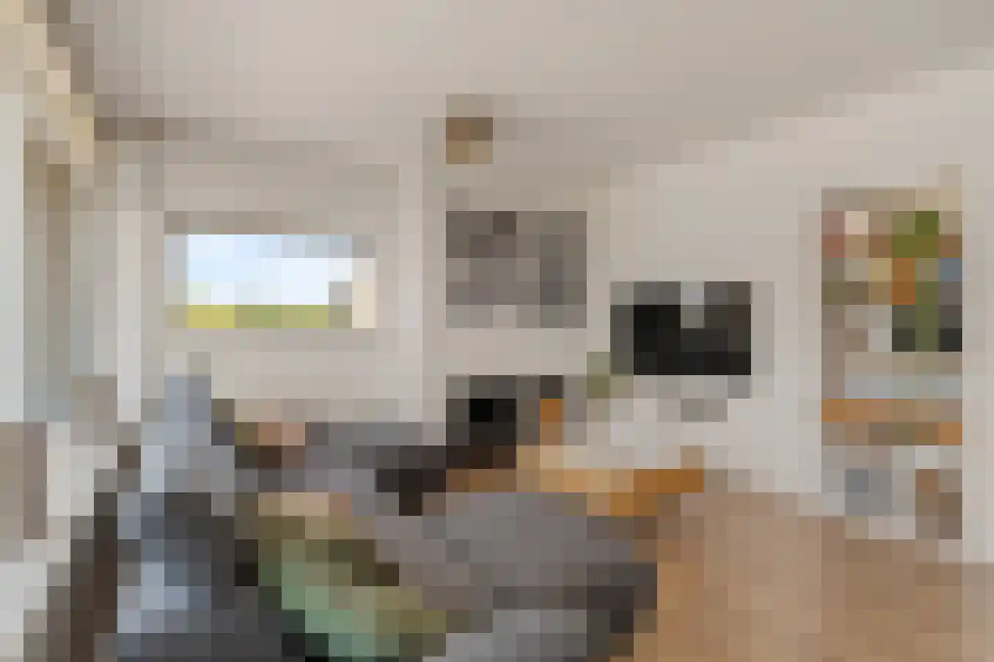 Beeklaan 116 Noordwijk thumbnail 6