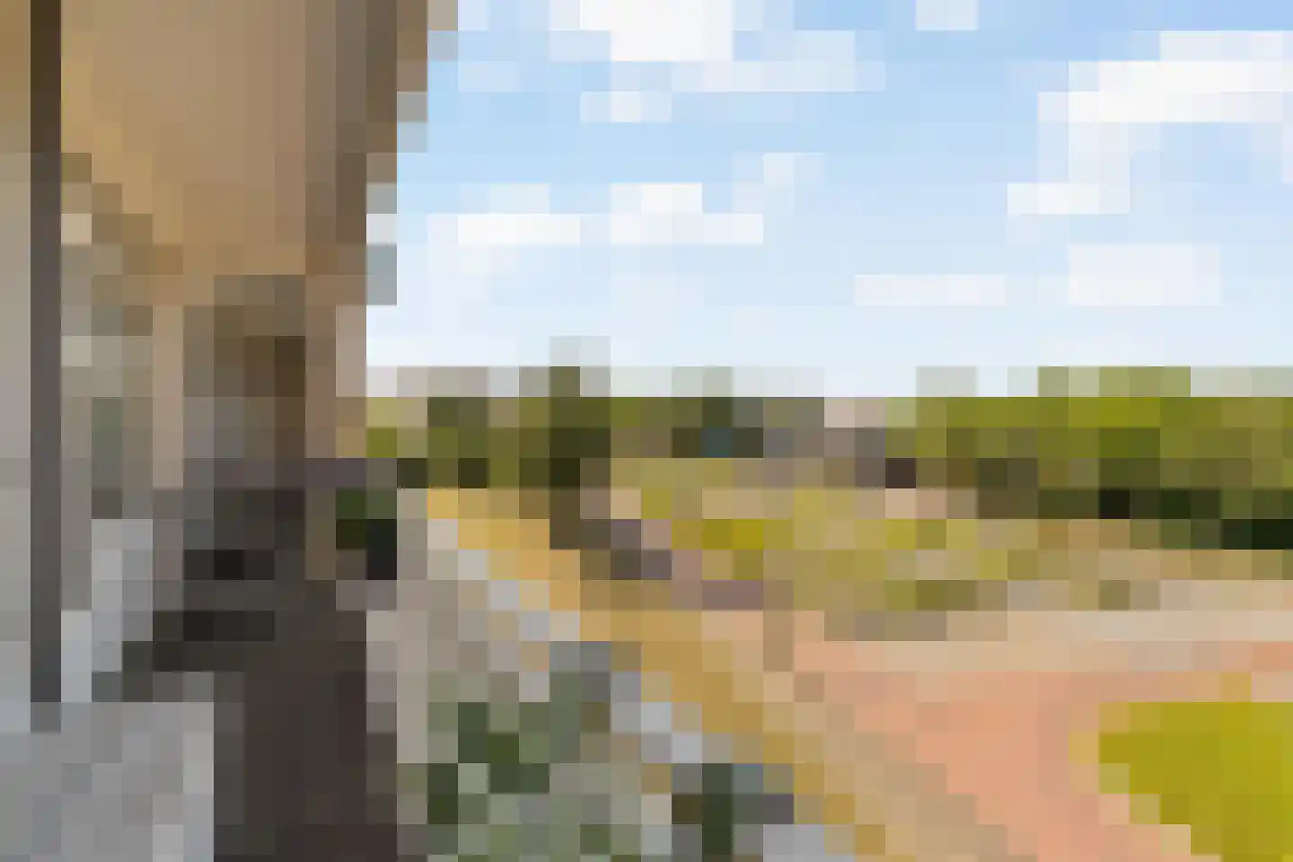 Beeklaan 116 Noordwijk thumbnail 9