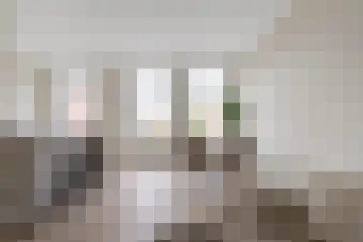 Beeklaan 119 A Den Haag thumbnail 5