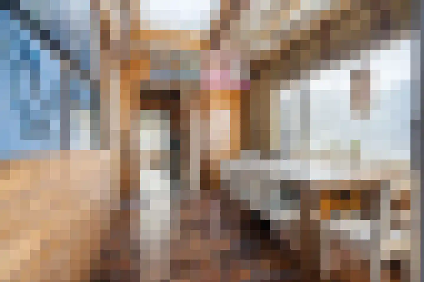 Beeklaan 124 Hillegom thumbnail 13