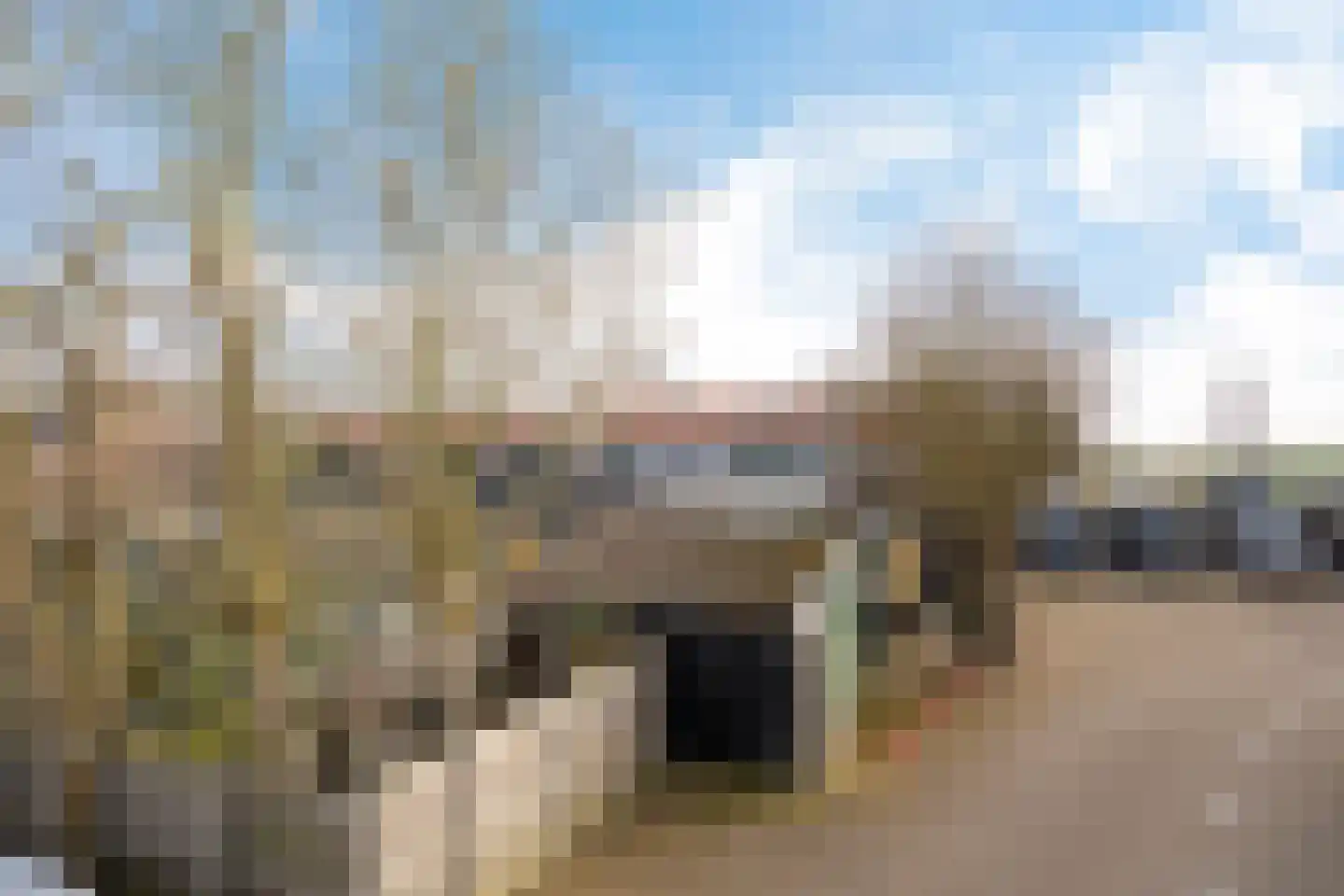 Beeklaan 124 Hillegom thumbnail 23