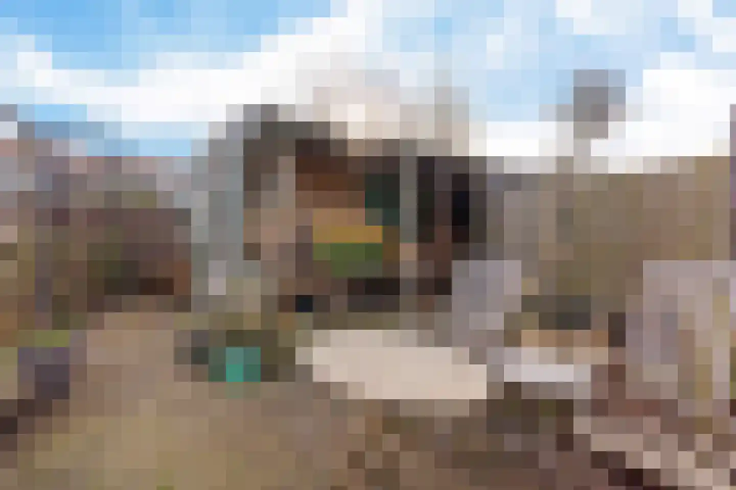 Beeklaan 124 Hillegom thumbnail 30