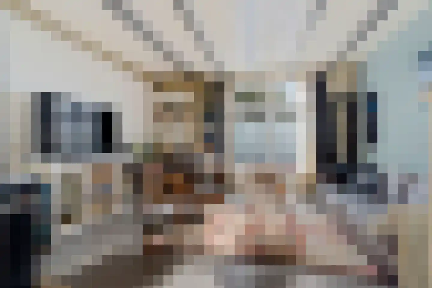 Beeklaan 124 Hillegom thumbnail 7